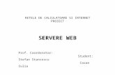 RETELE DE CALCULATOARE SI INTERNET PROIECT SERVERE WEB