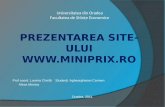 Prezentarea  site- ului  miniprix.ro