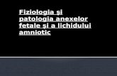 Fiziologia şi patologia anexelor fetale şi a lichidului amniotic