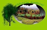 Pădurile României