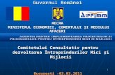 Guvernul Românei MECMA MINISTERUL ECONOMIEI,  CO MERTULUI  ŞI MEDIULUI AFACERI