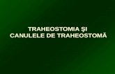 TRAHEOSTOMIA  Ş I  CANULELE DE TRAHEOSTOM Ă