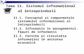 Tema  11 . Sistemul informaţional al întreprinderii