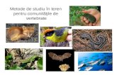 Metode de studiu  în teren  pentru comunităţile de  vertebrate