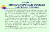 Lecţia 6  MICROGRUPURILE SOCIALE GRUPURILE SOCIALE