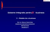 Sisteme integrate pentru     -business 2 – Modele de e-business
