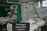 Nursingul pacientului comatos
