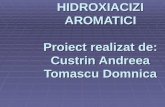 HIDROXIACIZI AROMATICI Proiect realizat de: Custrin Andreea Tomascu Domnica