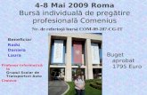 4 -8 Mai 2009 Roma Bursă individuală de pregătire profesională Comenius