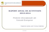 RAPORT ANUAL DE ACTIVITATE 20 13 -201 4 Proiecte educa ţ ionale ale  Uniunii Europene