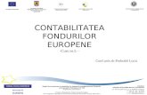 CONTABILITATEA  FONDURILOR  EUROPENE Curs nr.5 – Conf .univ.dr.Podoabă Lucia