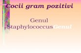 Cocii gram pozitivi Genul Staphylococcus Genul