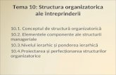 Tema 10 :  Structura organizatorica ale întreprinderii