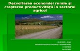 Dezvoltarea economiei rurale şi creşterea productivităţii în sectorul agricol