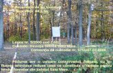 Rezervaţie de tip forestier    Suprafaţa:  68,5 ha;  Legea nr. 5/2000 cod 2.681 ;