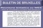 BULETIN DE BRUXELLES