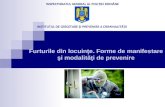 INSPECTORATUL GENERAL AL POLIŢIEI ROMÂNE INSTITUTUL DE  CERCETARE ŞI  PREVENIRE  A CRIMINALITĂŢII