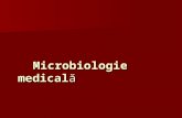 Microbiologie medical ă