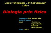 Liceul Tehnologic  ,,  Mihai Viteazul ”  Zalau