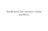 Sindromul de neuron motor periferic
