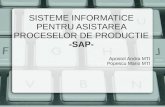 SISTEME INFORMATICE PENTRU ASISTAREA PROCESELOR DE PRODUCTIE -SAP-