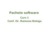 P achete  software  C urs 1 Conf. Dr. Ramona Bologa
