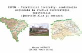 ESPON – Territorial Diversity- contribuţia naţională la studiul diversităţii teritoriale