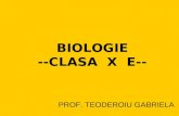 BIOLOGIE --CLASA  X  E--