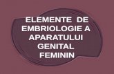 ELEMENTE  DE EMBRIOLOGIE A  APARATULUI  GENITAL  FEMININ