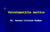 Valvulopatiile aortice