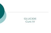 GLUCIDE Curs IV