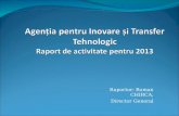 Agenția pentru Inovare și Transfer Tehnologic  Raport de activitate pentru 2013