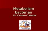 Metabolism bacterian
