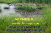 VERME ŞUL  sursă de inspiraţie Şcoala cu clasele I-VIII „Gheorghe Bulgăr” Sanislău