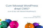 Cum folose şti WordPress drept CMS?
