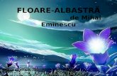 FLOARE-ALBASTRĂ                         de Mihai Eminescu