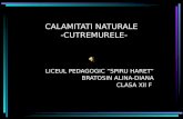 CALAMITATI NATURALE       -CUTREMURELE-