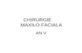 CHIRURGIE         MAXILO-FACIALA