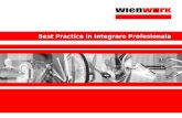 Best Practice in Integrare Profesionala