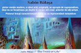 Sabin Bãlaşa – “ The-Trees-of-Life”