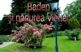 Baden  şi pădurea Vienei
