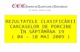 REZULTATELE CLASIFICĂRII CARCASE LOR  DE PORCINE Î N S ĂPTĂMÂNA 1 9 ( 04 – 10 MAI 2009 )