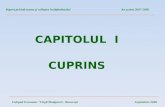 CAPITOLUL  I CUPRINS