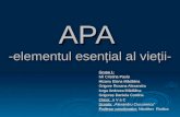 APA  -elementul esențial al vieții-