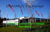 ERASMUS Exchange Vestfold  University College Norvegia