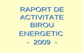 RAPORT DE ACTIVITATE  BIROU ENERGETIC  -  2009  -
