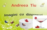 Andreea  Tiu