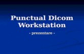 Punctual Dicom Workstation