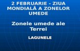 2 FEBRUARIE - ZIUA MONDIALĂ A ZONELOR UMEDE Zonele umede ale Terrei