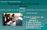 Baze de date cu Microsoft Access